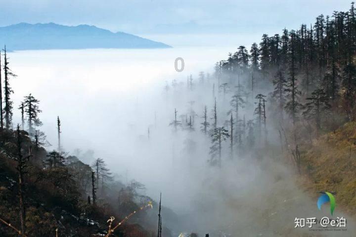 逃离鱼店
