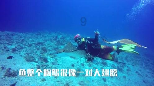 区委组织部召开2024年工作务虚会
